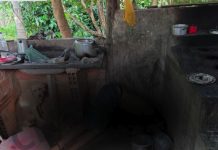 Suspeito de homicídio é preso após operação conjunta em Colinas do Sul