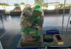 Troca de recicláveis por bônus na fatura de energia evitou emissão de mais de 9,5 mil toneladas de CO₂ em Goiás