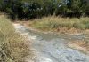“Curtume” de Porangatu é multado em R$ 710 mil durante operação ambiental