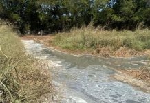 “Curtume” de Porangatu é multado em R$ 710 mil durante operação ambiental
