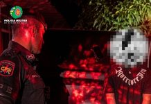 Menor é apreendido após esfaqueamento em Porangatu