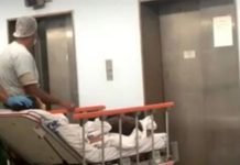 Menina atacada por onça-parda durante trilha não tem previsão de alta após cirurgia plástica no rosto