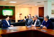Daniel Vilela reforça interesse de industrializar cadeia das terras raras em Goiás