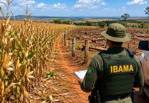 Crédito Rural Travado: Exigências Ambientais e falhas em satélites geram prejuízos milionários para produtores e bancos