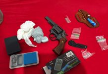 Polícia Militar apreende drogas e revólver durante atendimento de Violência Doméstica