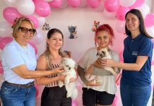 Prefeitura de uruaçu realiza Mutirão de Castração Gratuito de cães e gatos em parceria com Vivian Naves