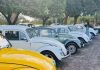 Vereador Emiliano realiza 3º Encontro de Carros Clássicos fortalecendo turismo e comércio local