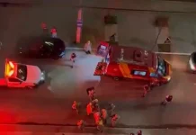 Suspeita de matar jornalista Delson Carlos também matou o cachorro da vítima e foi contida pelo Bope após negociação fracassar