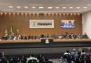 Câmara de Porangatu Vota Políticas Públicas para o Bem-Estar Animal e a Educação nesta Segunda-feira