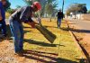 Novo Planalto intensifica paisagismo com plantio de grama na saída para Araguaçu