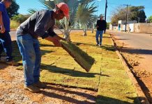 Novo Planalto intensifica paisagismo com plantio de grama na saída para Araguaçu