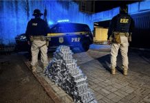 PRF apreende mais de 93 mil comprimidos de anfetamina e realiza maior apreensão da droga em 2026
