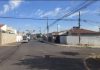 STF determina que municípios acolham animais abandonados e maltratados com base em ação movida em Catanduva