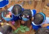 Crianças participam de ação de educação ambiental com plantio de árvores nativas