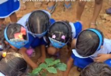 Crianças participam de ação de educação ambiental com plantio de árvores nativas em Santa Tereza de Goiás