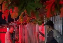 Homem é morto a facadas em Porangatu